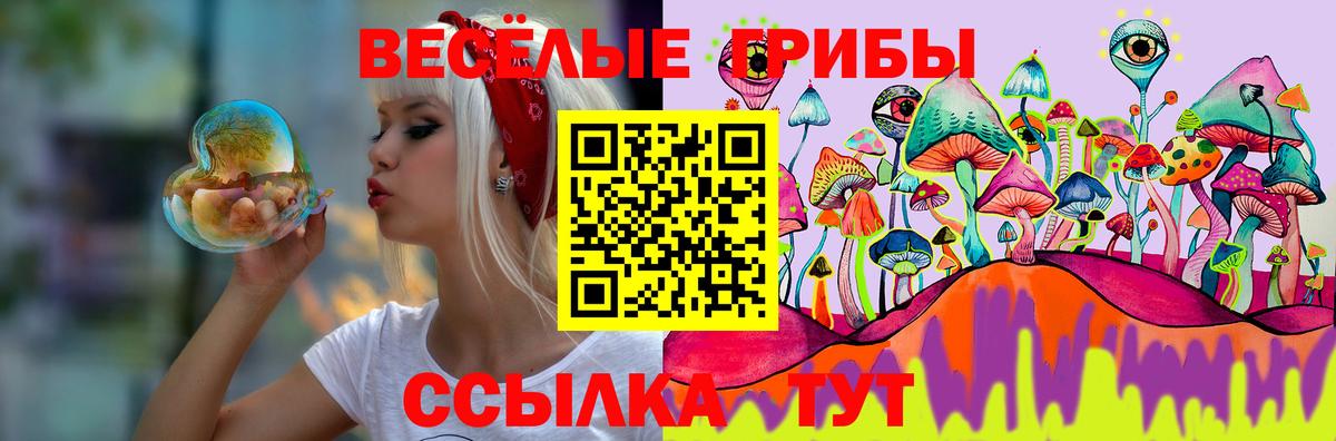 Псилоцибиновые грибы Psilocybine cubensis Волжск